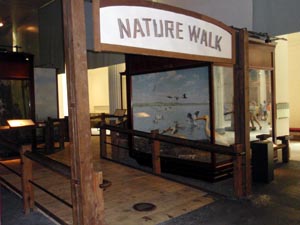 Nature walk confined to boardwalk.