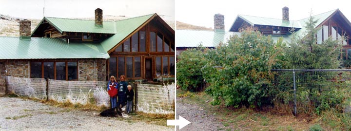 Before and after our permaculture efforts.