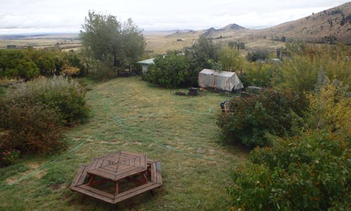 Overlooking the yard.