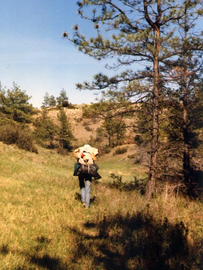 Hiking across Montana.