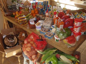 Lots of groceries from dumpsters.