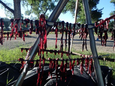 Drying roadkill venison jerky.